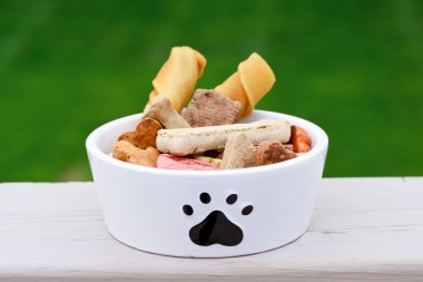 Dog food in dog bowl clipart