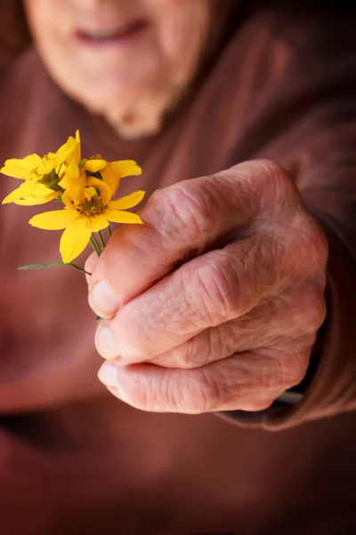 Senior dame houden een bloem — Stockfoto