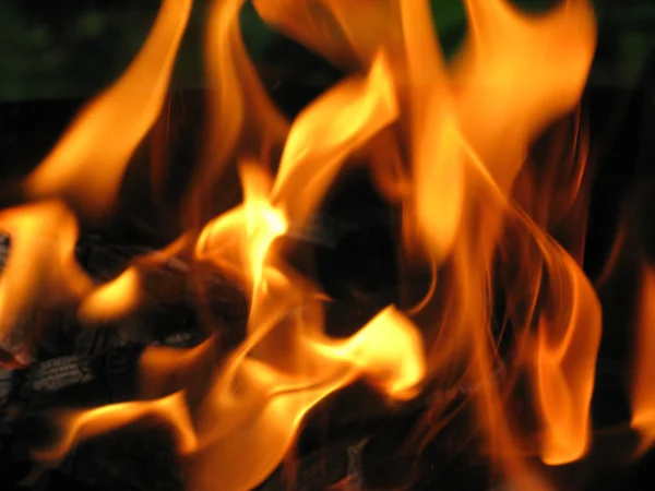 Tungor av eld — Stockfoto