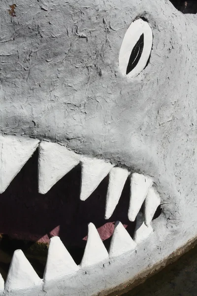 Shark teeth — Stock Photo, Image