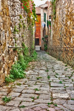 Old alley in Tuscany clipart