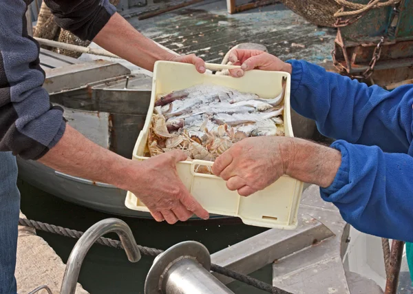 Pescadores que descarregam caixas de peixe — Fotografia de Stock