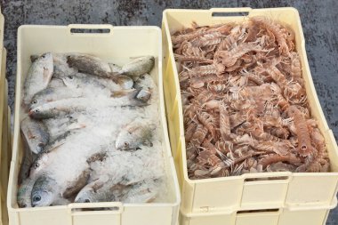 Crates of freshly caught fish clipart