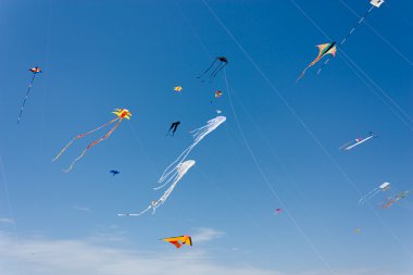 International kite festival of Cervia clipart