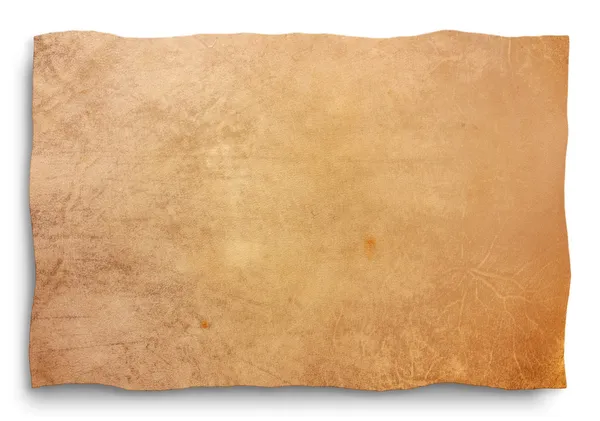 Кожа пергамента - обрезка пути — стоковое фото