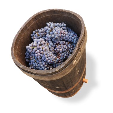 Tub with grapes - clipping path clipart