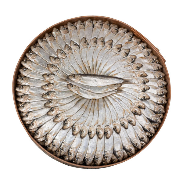 Salted sardines - clipping path
