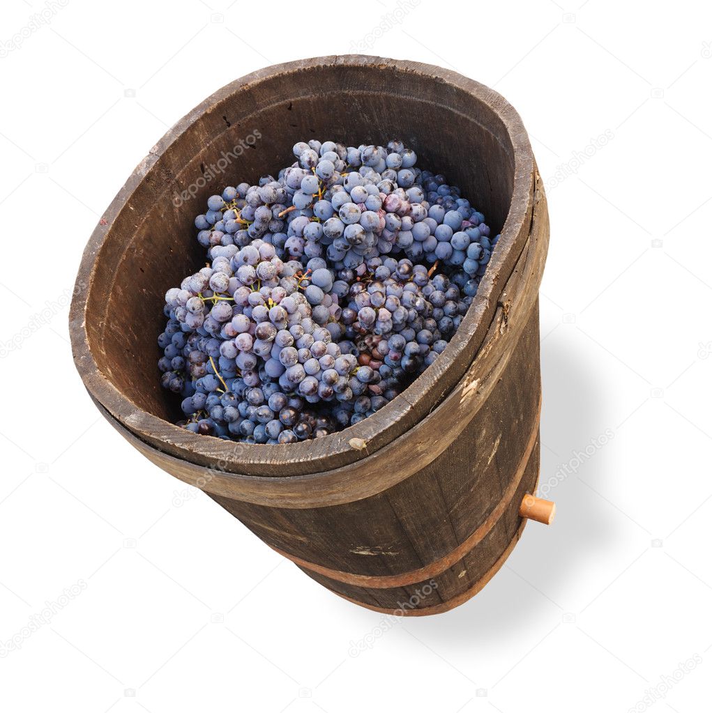Tub with grapes - clipping path