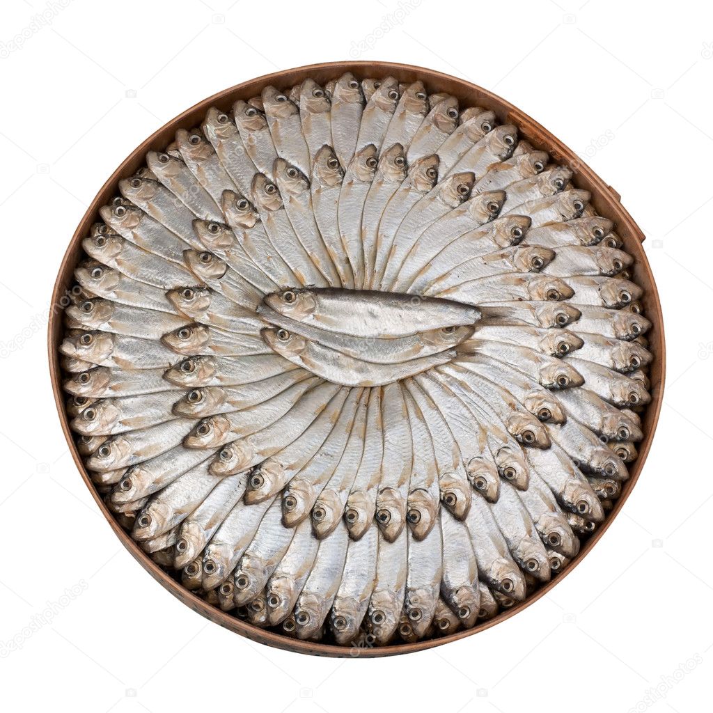Salted sardines - clipping path