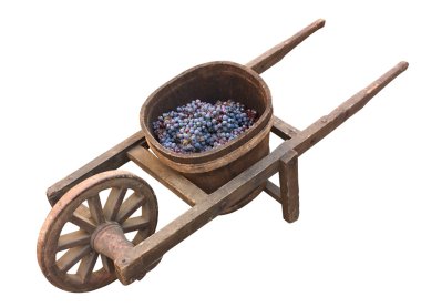 Old wheelbarrow for grape transport clipart