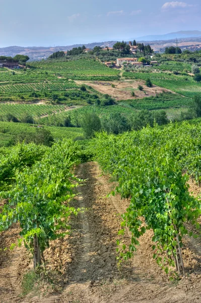 Toscanas kullar — Stockfoto