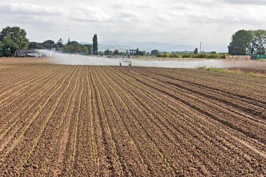 Field irrigation clipart