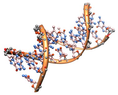 DNA molecule clipart