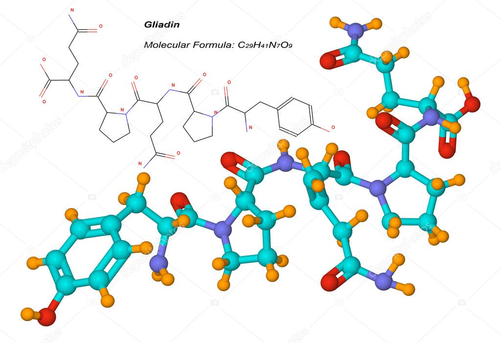 Gliadin molecule, component of gluten