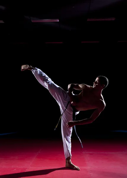 Taekwondo side kick Jogdíjmentes Stock Fotók