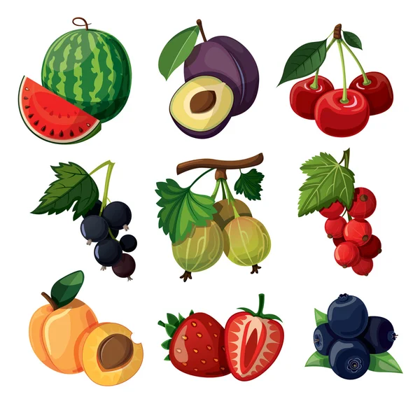 A set of delicious berries. — Stock Vector