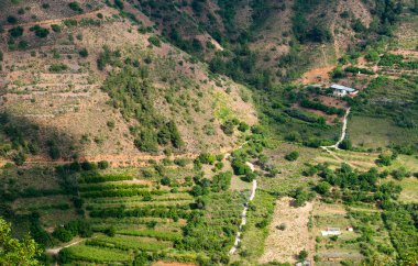 Kıbrıs troodos dağ manzarası