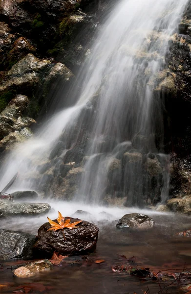 特罗多斯塞浦路斯的瀑布， — 图库照片