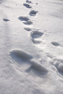 ayak izleri üstünde beyaz kar