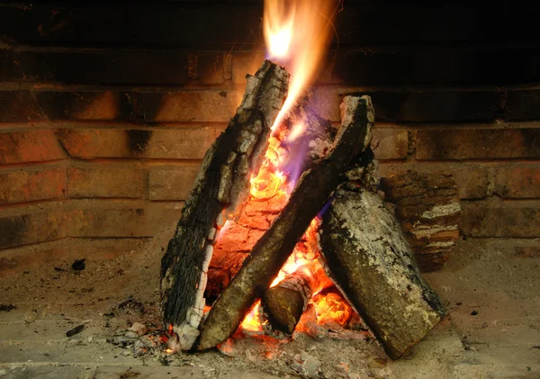 森の中を燃焼暖炉. — ストック写真