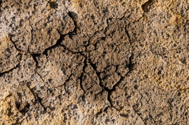 Dry cracked ground clipart