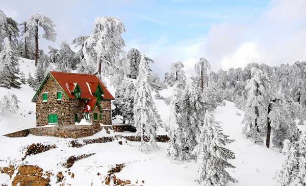 Kış manzarası, troodos Kıbrıs