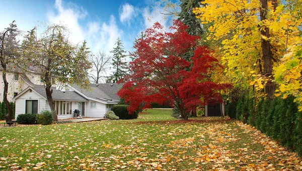 Casa canadiense en otoño — Foto de Stock