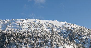 Kış manzarası, troodos Dağları