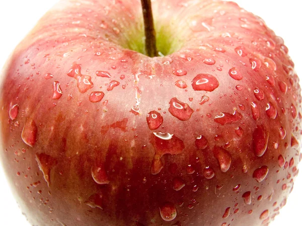 stock image Red apple