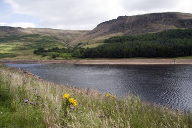 Dovestones reservoir, Greenfield clipart