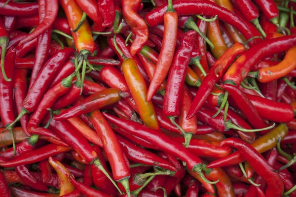 Hot Red Chillies
