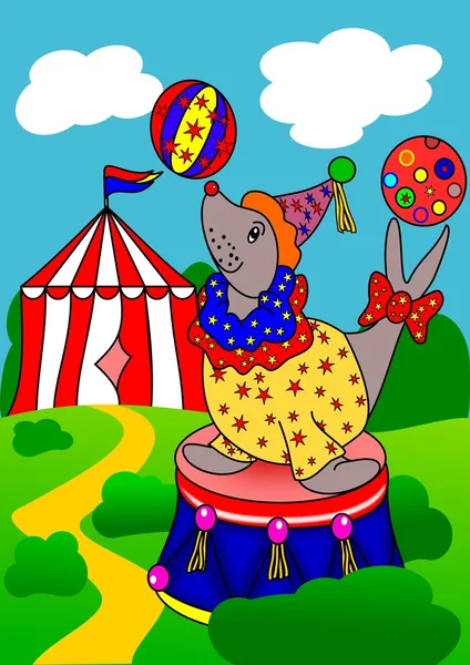 Σφραγίστε το τσίρκο — Φωτογραφία Αρχείου