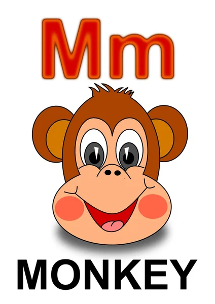 Letter "M" monkey — Stock Photo, Image