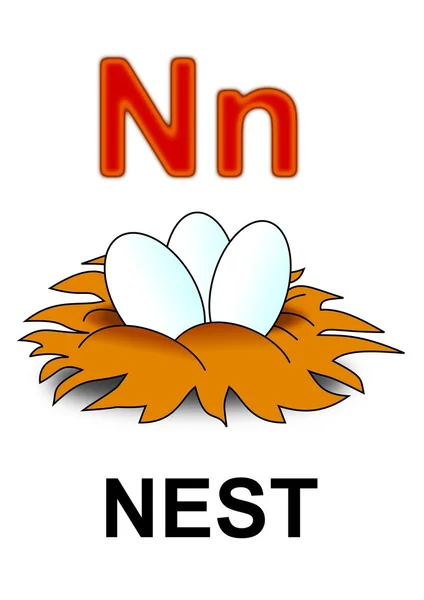 Letra "N" nido — Foto de Stock