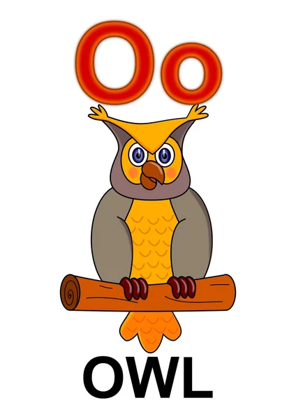 Letter "O" owl — Stock Photo, Image