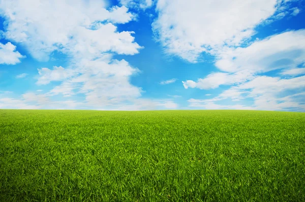 Травяной луг с облаками на небе — стоковое фото