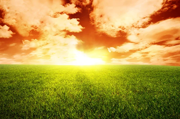 Pôr do sol quente acima do prado de grama — Fotografia de Stock