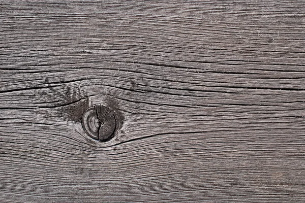 stock image Gray Wood texture with knag