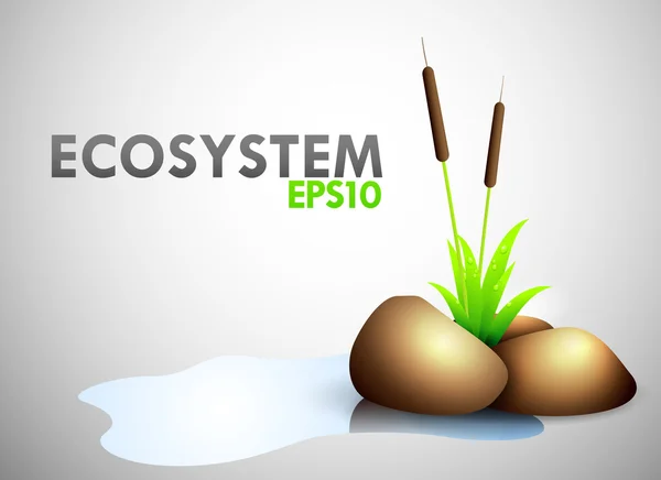 Écosystème — Image vectorielle