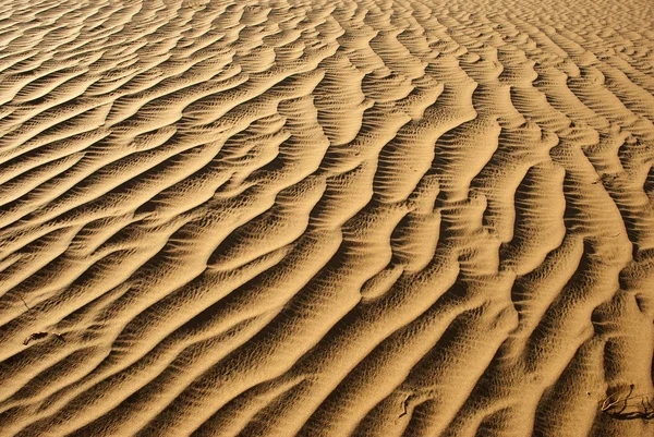 Deserto arenoso — Fotografia de Stock
