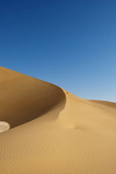 Άμμο αμμόλοφος — Φωτογραφία Αρχείου