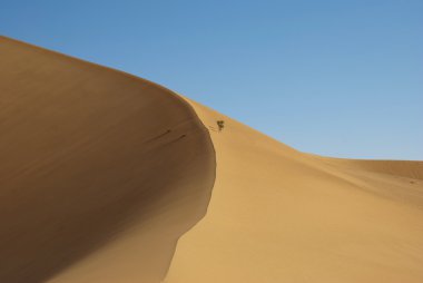 kumlu dune