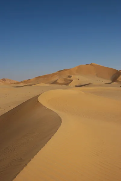 O grande deserto — Fotografia de Stock