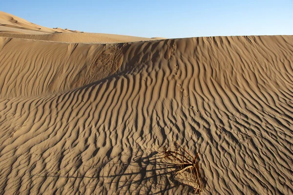 Il grande deserto — Foto Stock