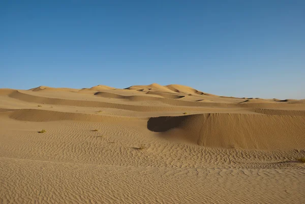 Velká poušť — Stock fotografie