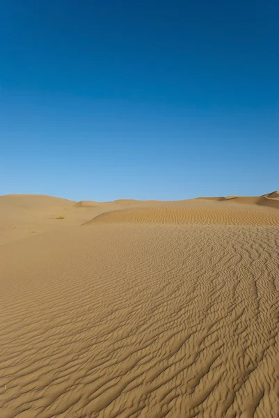 Η μεγάλη έρημο — Φωτογραφία Αρχείου
