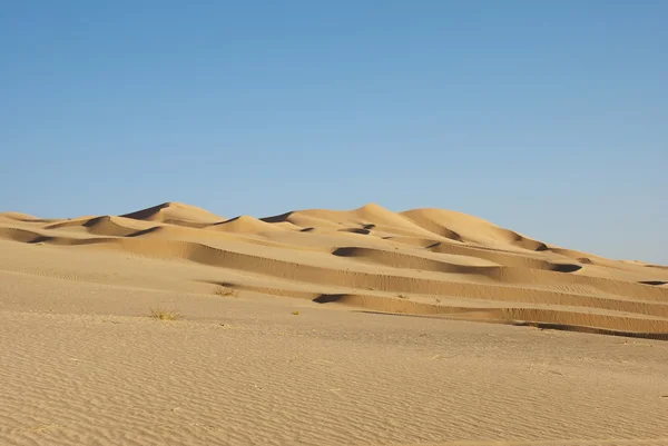 大沙漠 — 图库照片