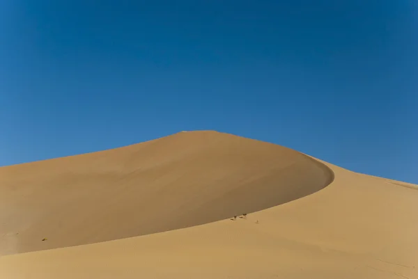 Άμμο αμμόλοφος — Φωτογραφία Αρχείου