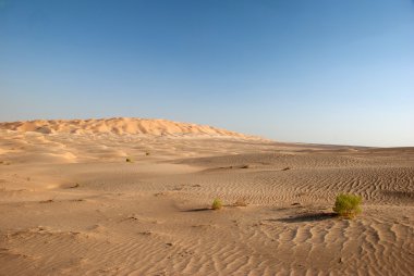 kumlu dune