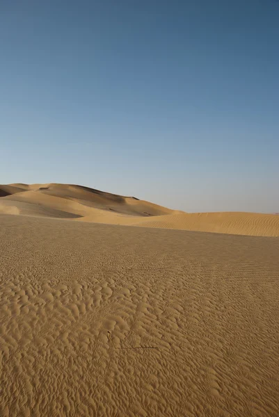 沙地沙丘 — 图库照片